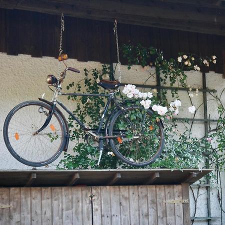 Gartenwohnung Im Gut Sonnenwald Schöllnach 外观 照片
