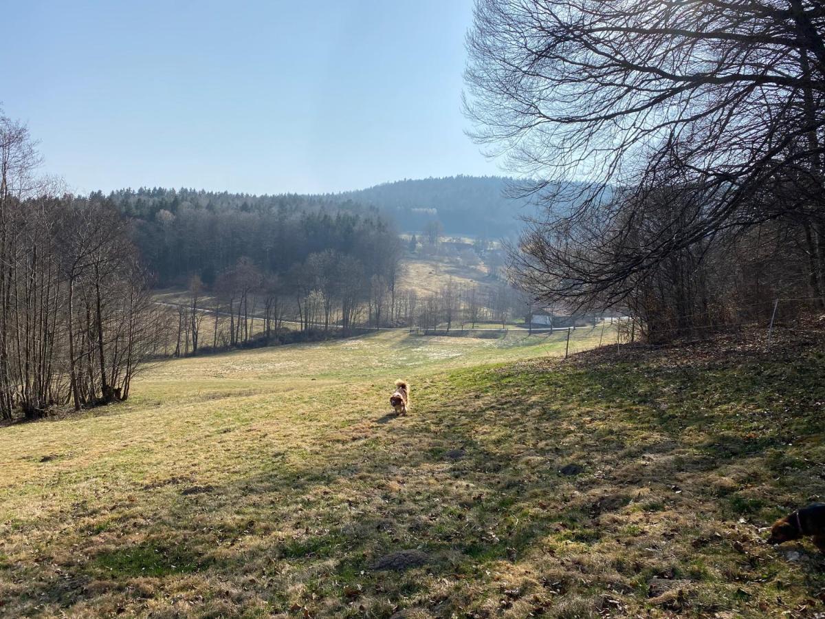 Gartenwohnung Im Gut Sonnenwald Schöllnach 外观 照片