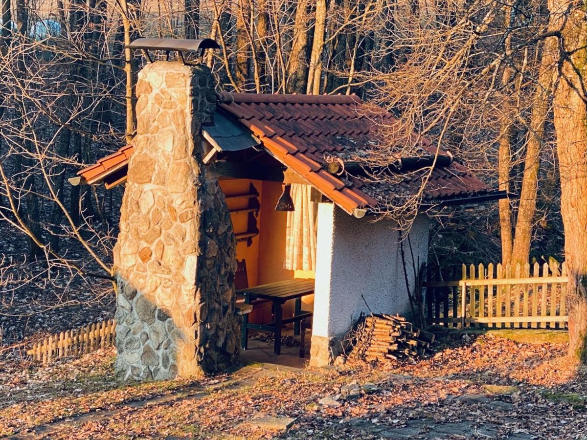 Gartenwohnung Im Gut Sonnenwald Schöllnach 外观 照片